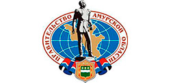 Правительство Амурской области